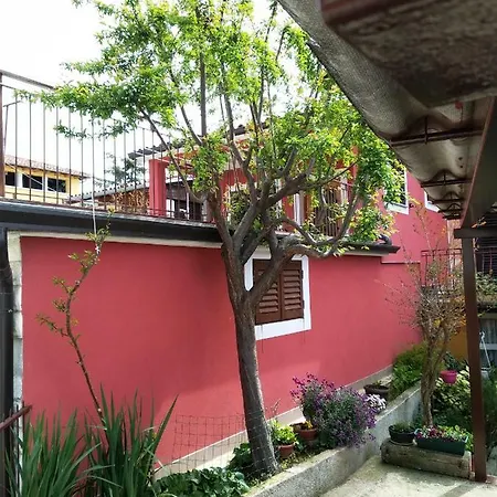 Mina Guest house