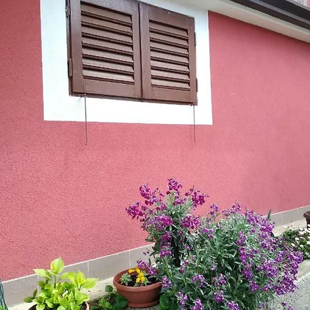 Guest house Mina *