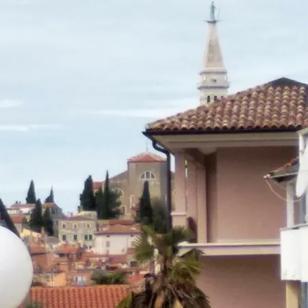 בית הארחה Mina רוביני